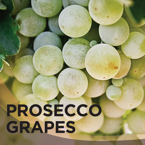 Prosecco Grapes sugar coated in Javamelts Flavored Sugar